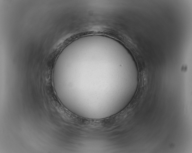 X0000110921158200907021452