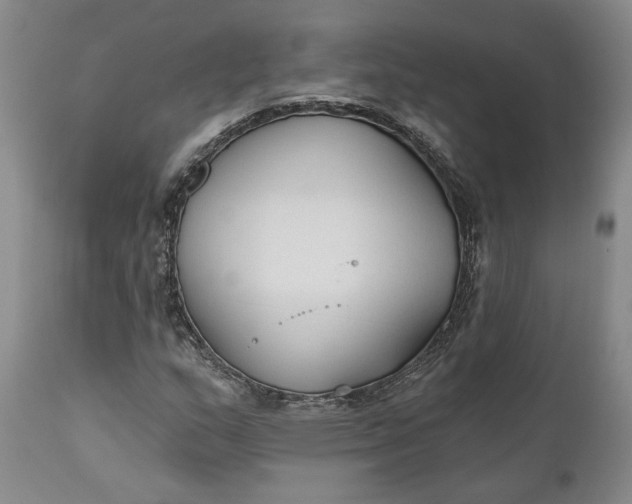 X0000110921159200907021452