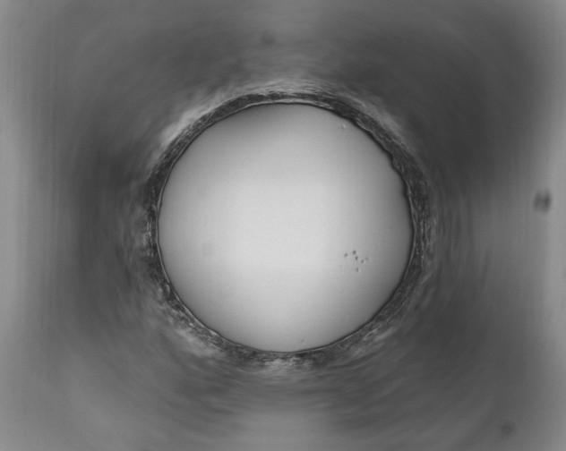 X0000110921160200907021452