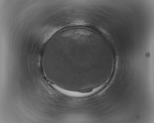 X0000110921161200907021452
