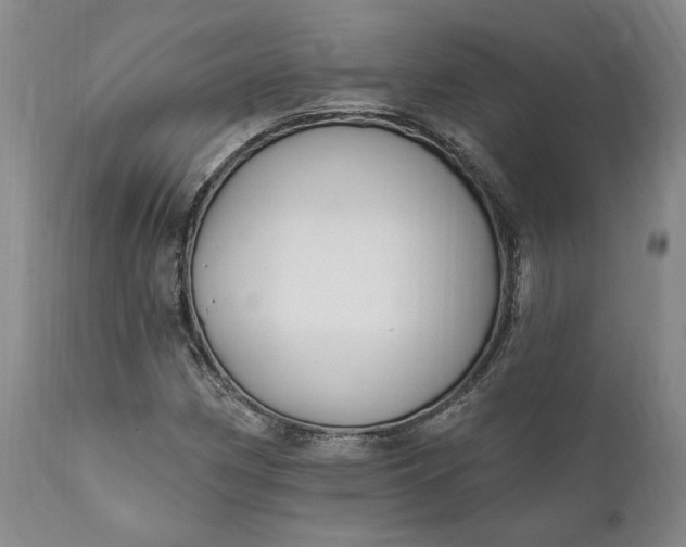 X0000110921162200907021452