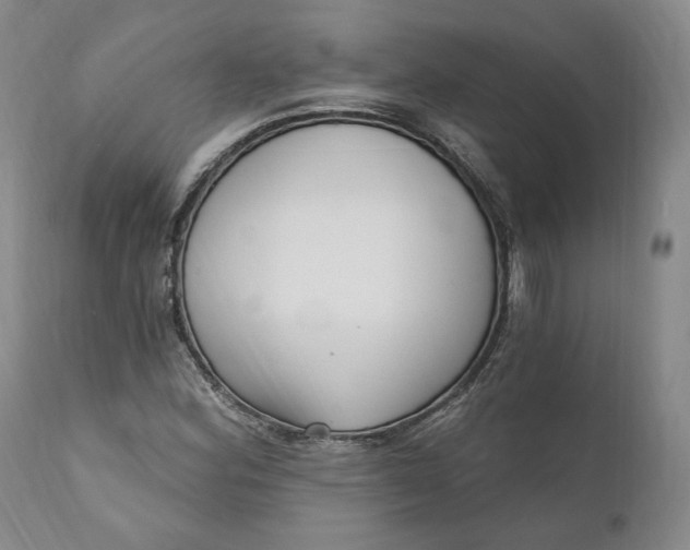 X0000110921164200907021452