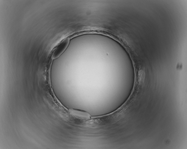 X0000110921165200907021452
