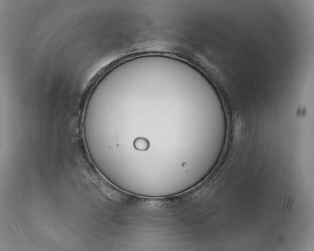 X0000110921166200907021452