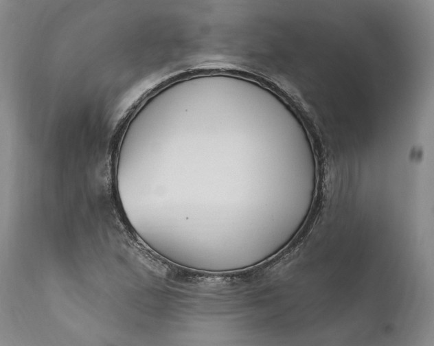 X0000110921167200907021452
