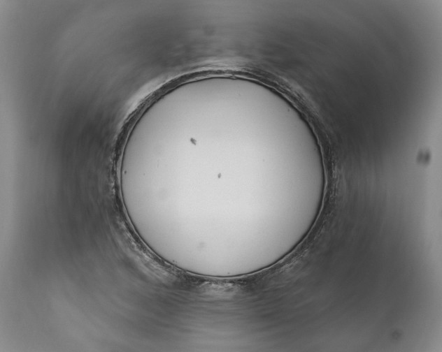 X0000110921168200907021452