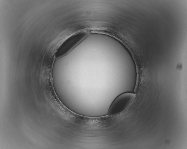 X0000110921169200907021452