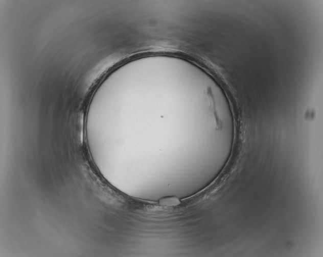 X0000110921171200907021452