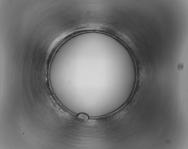 X0000110921172200907021452