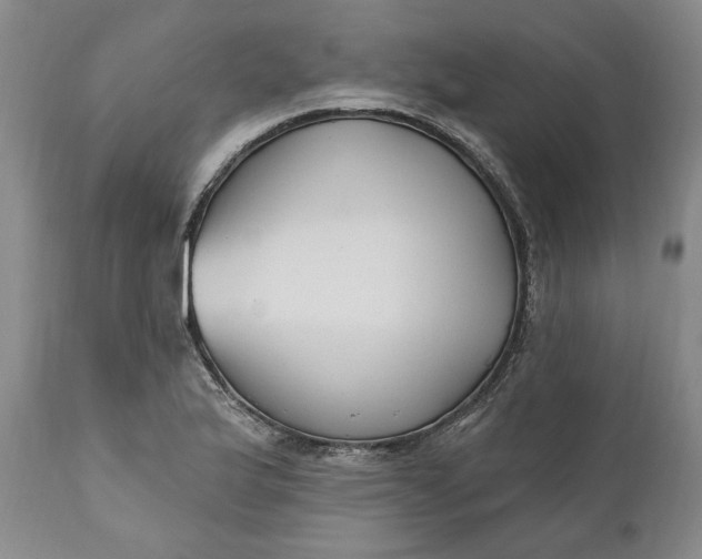 X0000110921175200907021452