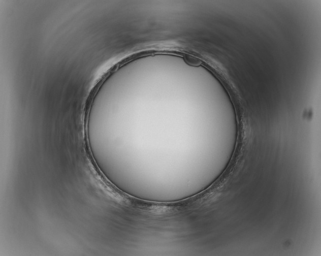 X0000110921176200907021452