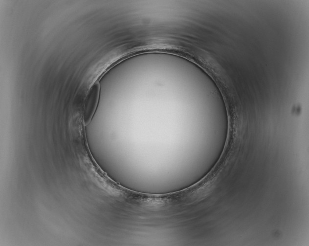 X0000110921177200907021452