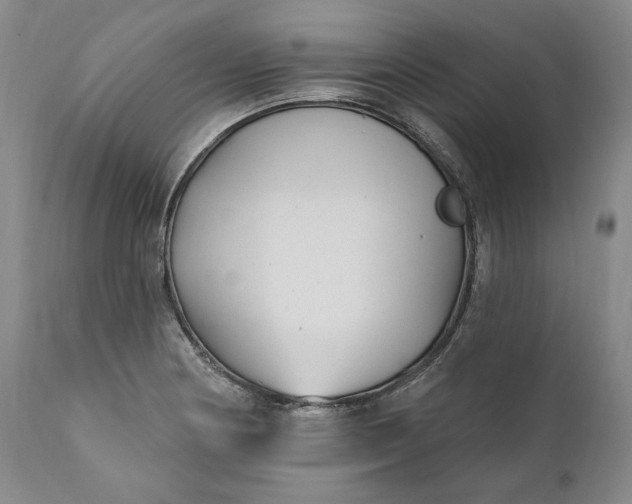 X0000110921178200907021452
