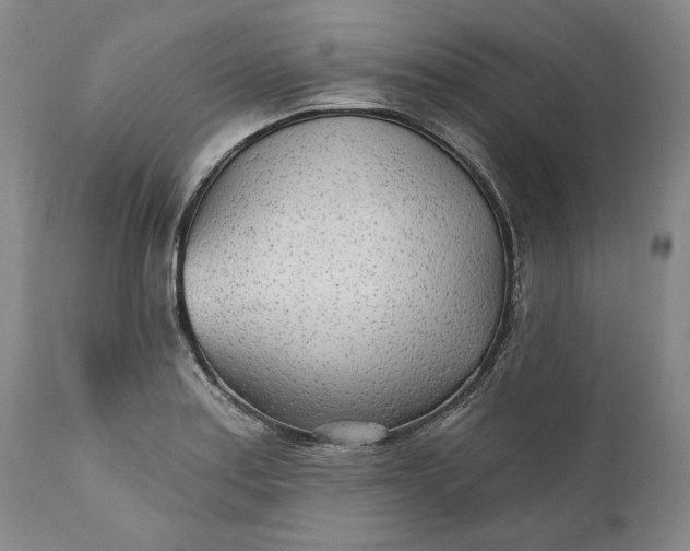 X0000110921179200907021452