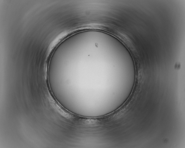X0000110921180200907021452