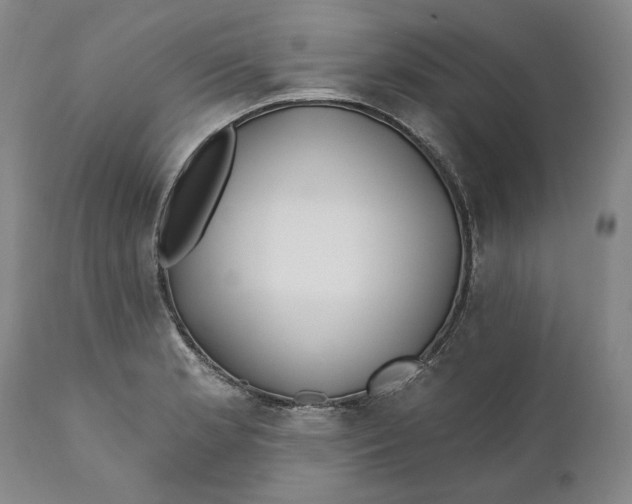 X0000110921181200907021452