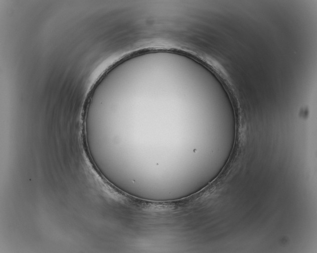 X0000110921183200907021452