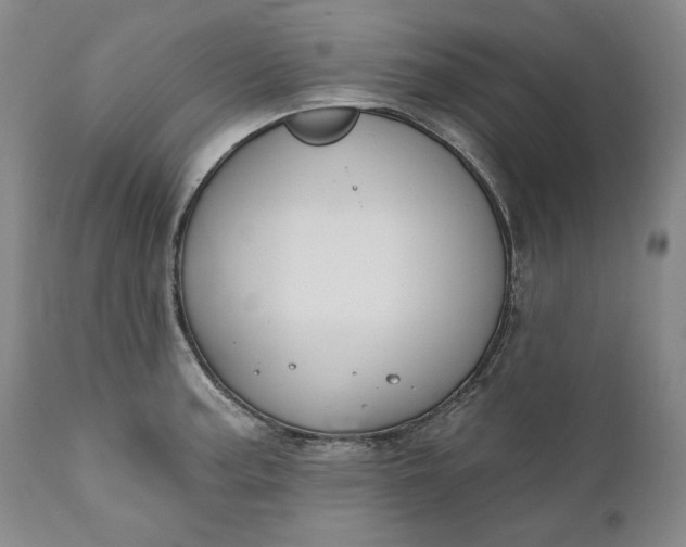 X0000110921187200907021452