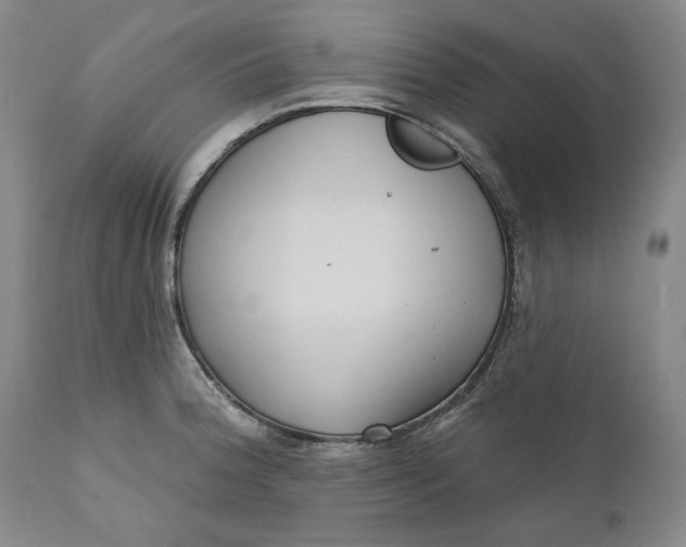 X0000110921188200907021452