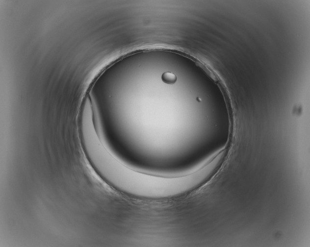 X0000110921189200907021452
