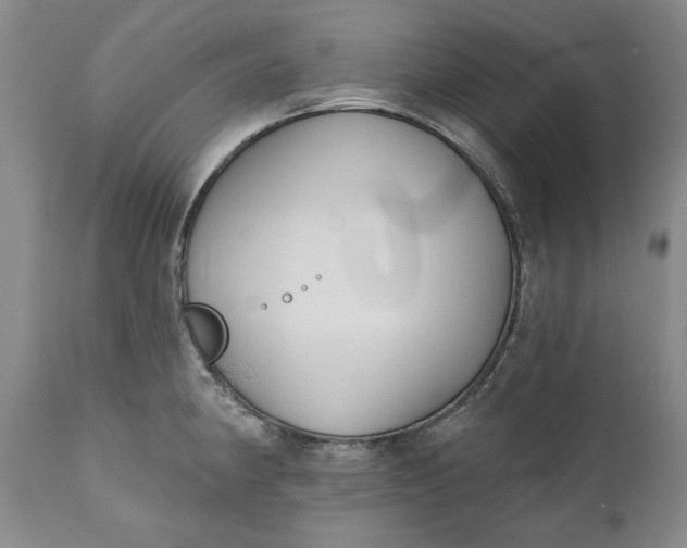 X0000110921190200907021452