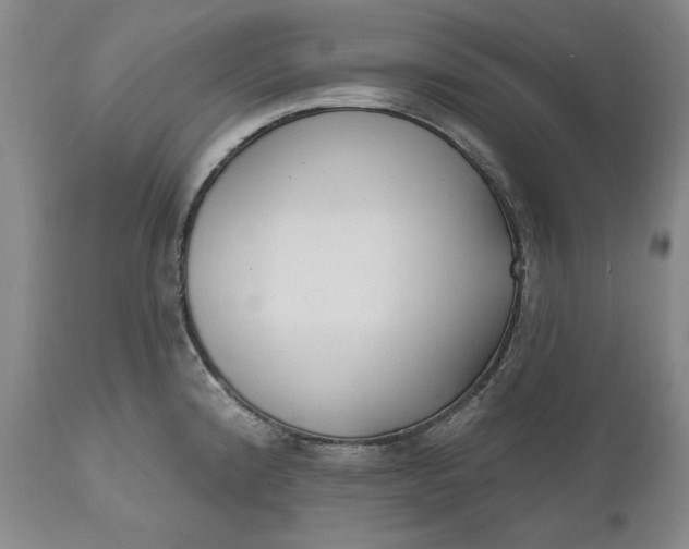 X0000110921192200907021452