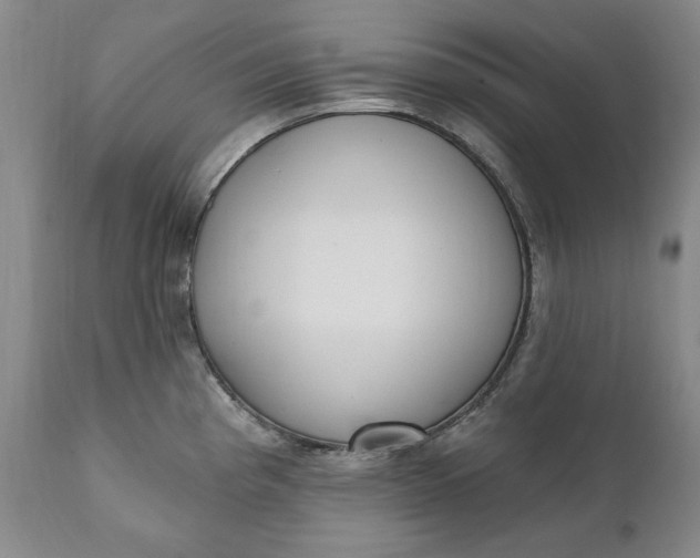 X0000110921193200907021452
