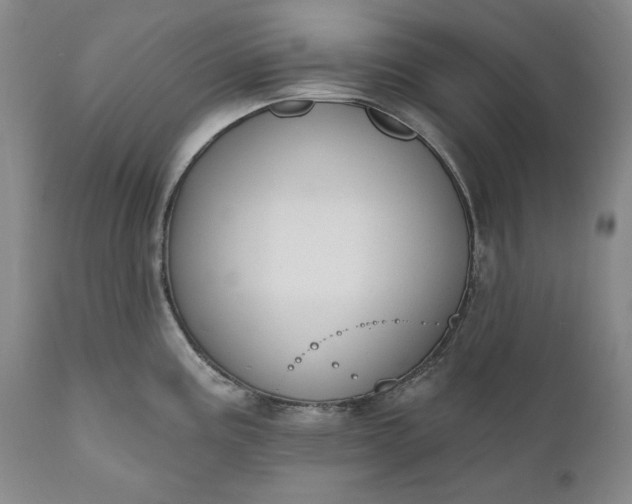 X0000110921195200907021452