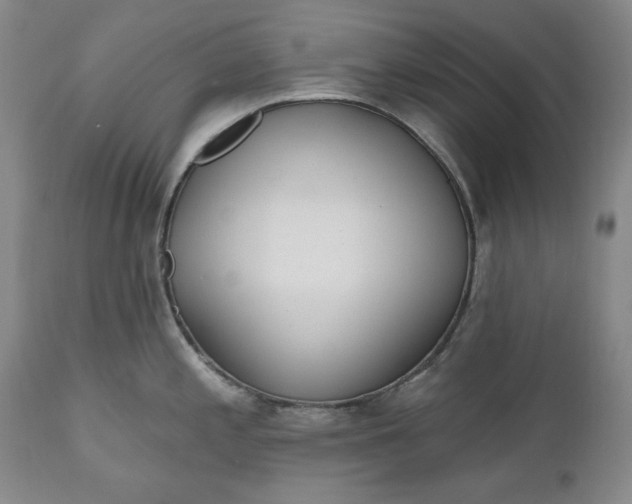X0000110921197200907021452