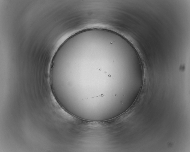 X0000110921199200907021452