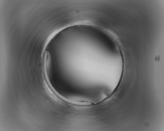X0000110921200200907021452