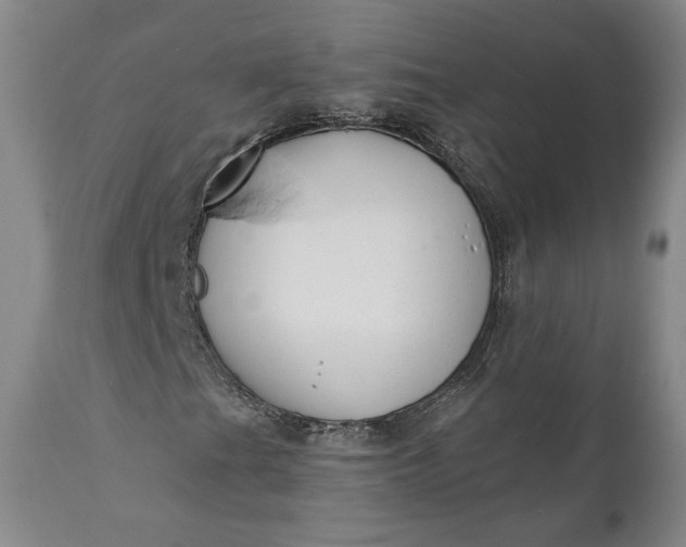 X0000110921201200907021451