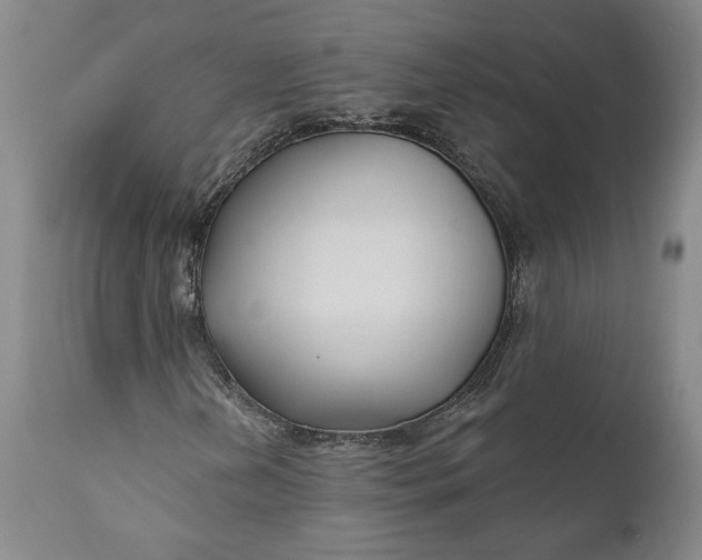 X0000110921202200907021451