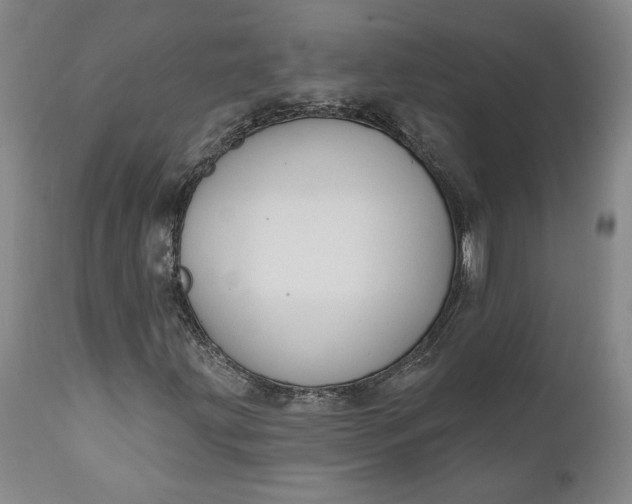 X0000110921203200907021451