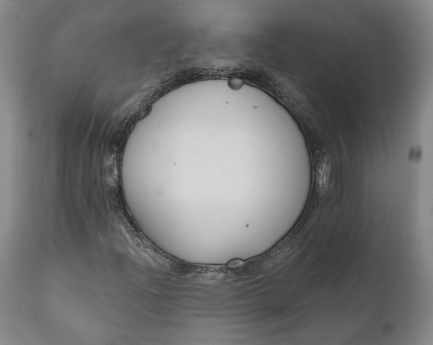 X0000110921204200907021451