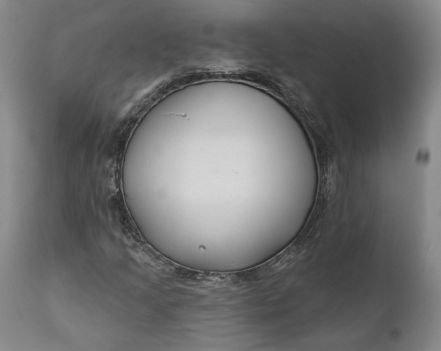 X0000110921205200907021451