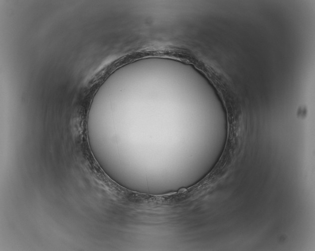 X0000110921206200907021451