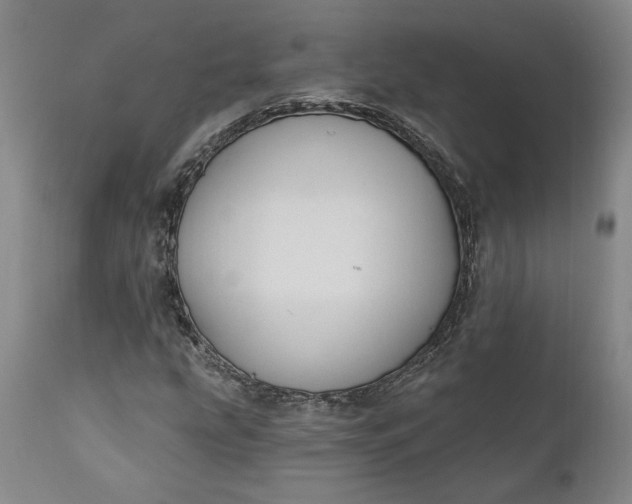 X0000110921207200907021451