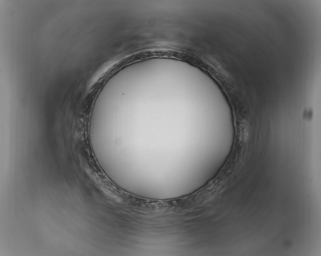 X0000110921208200907021451