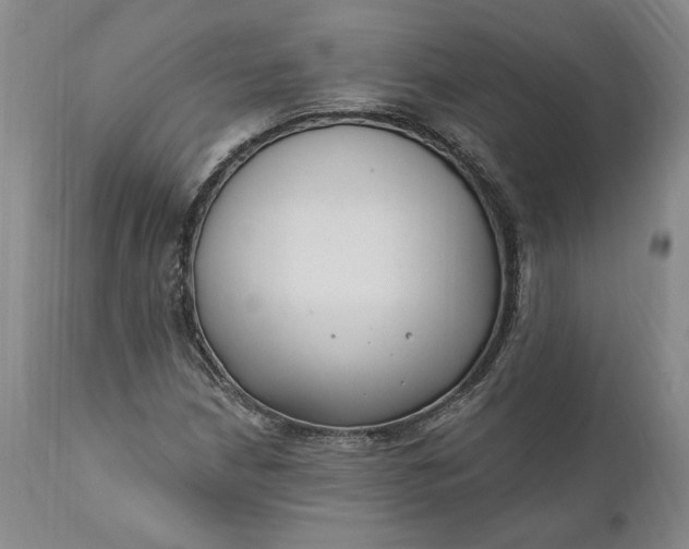 X0000110921210200907021451
