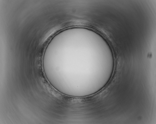 X0000110921211200907021451