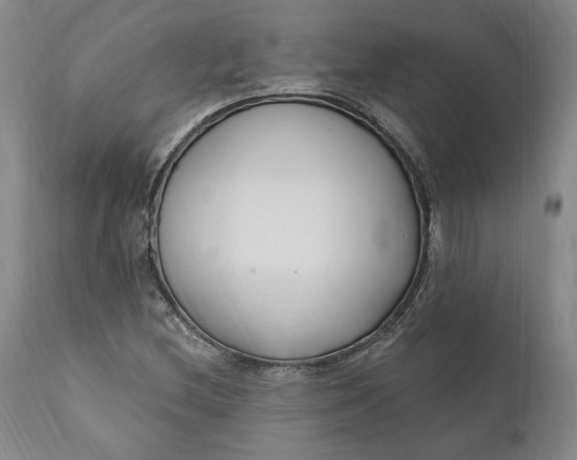X0000110921212200907021451