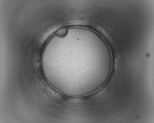 X0000110921213200907021451