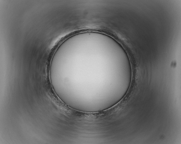 X0000110921214200907021451
