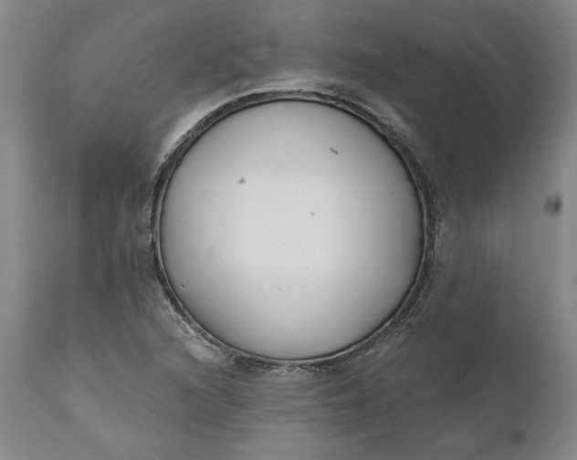 X0000110921216200907021451