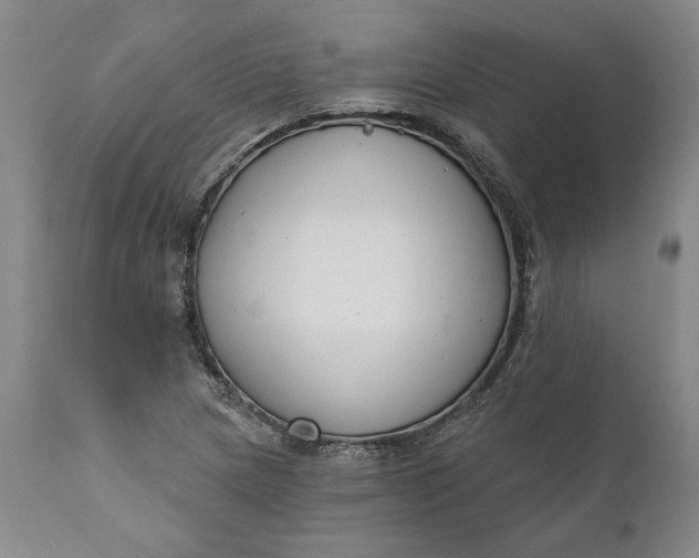 X0000110921217200907021451