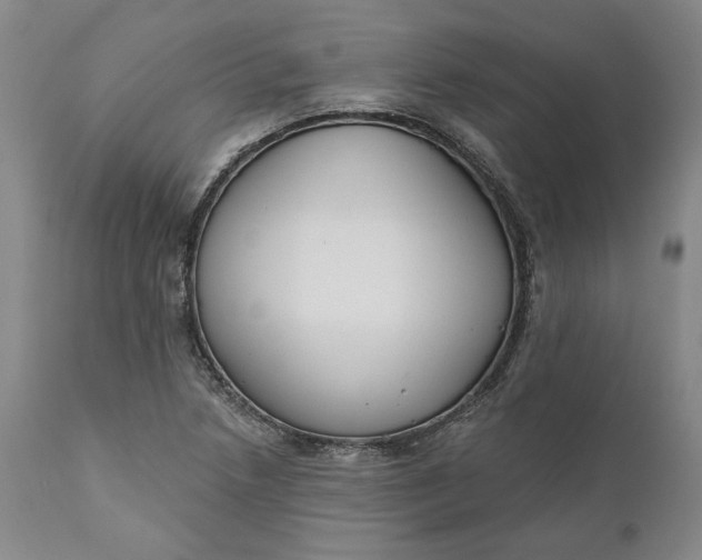 X0000110921218200907021451