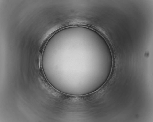 X0000110921219200907021451