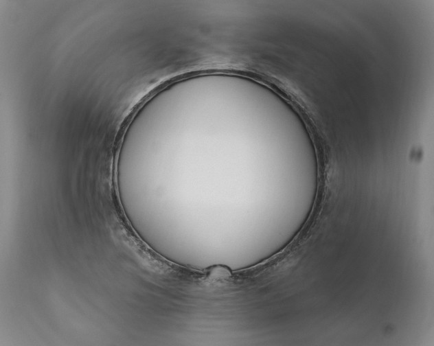 X0000110921220200907021451