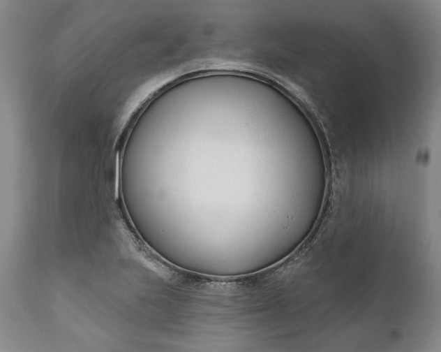 X0000110921223200907021451